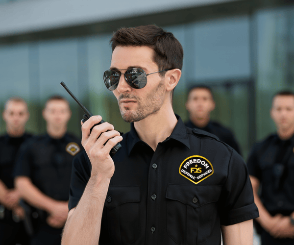 fdssecurity2